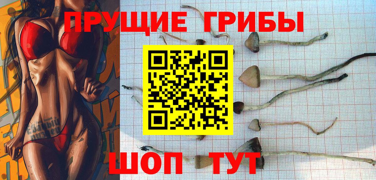 Всеволожск  Галлюциногенные грибы Magic Shrooms  Вход с VPN 