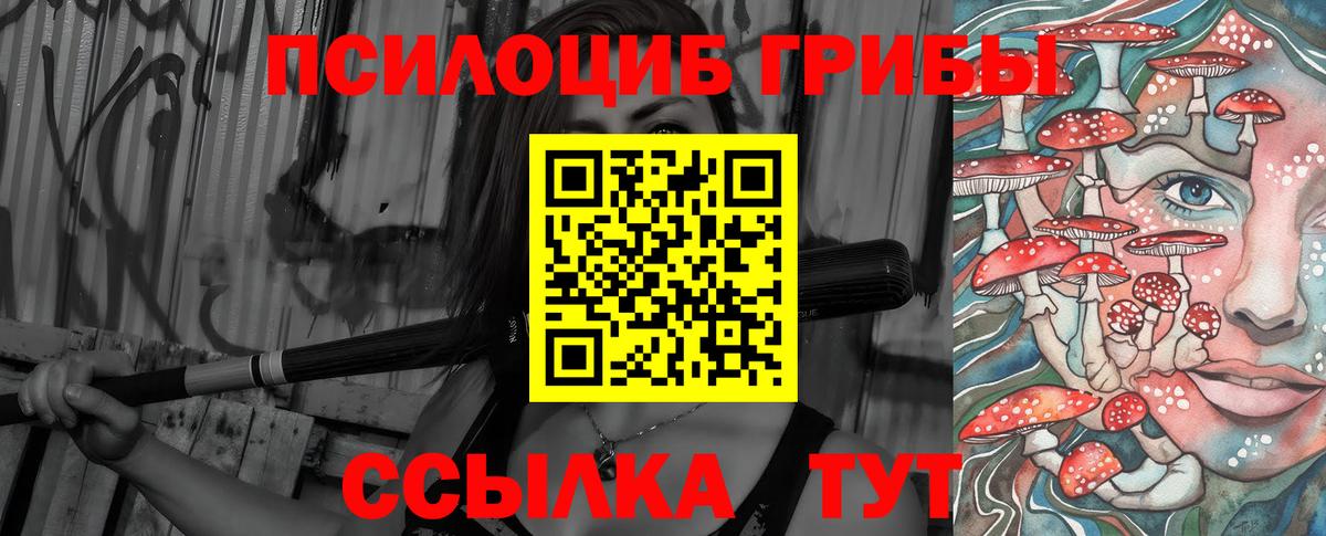 Псилоцибиновые грибы мухоморы Всеволожск